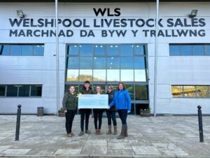 Pictured are staff from Welshpool Livestock Market with Angela Hill from Lingen Davies.